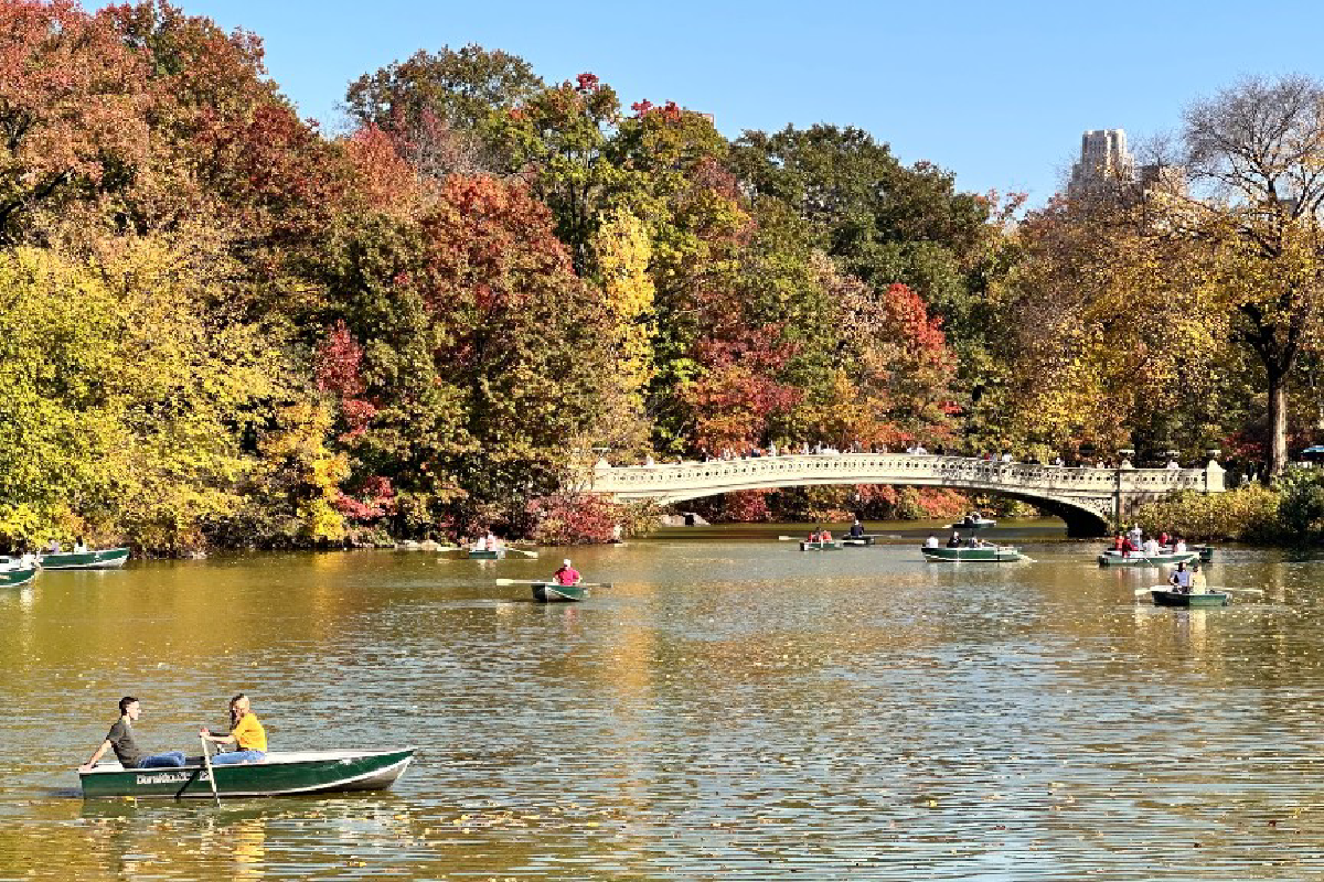 Lake and bridge with autumn trees